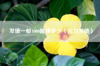 发债一般1000能赚多少（元力发债）
