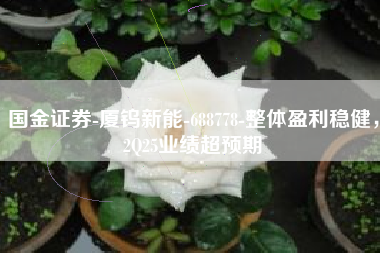 国金证券-厦钨新能-688778-整体盈利稳健，2Q25业绩超预期