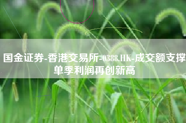 国金证券-香港交易所-0388.HK-成交额支撑单季利润再创新高