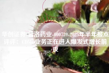 华创证券-普洛药业-000739-2025年半年报点评评：CDMO业务正在进入爆发式增长前夜