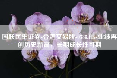 国联民生证券-香港交易所-0388.HK-业绩再创历史新高，长期成长性可期