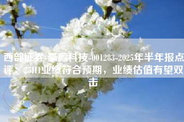 西部证券-豪鹏科技-001283-2025年半年报点评：25H1业绩符合预期，业绩估值有望双击