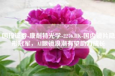 国投证券-康耐特光学-2276.HK-国内镜片隐形冠军，AI眼镜浪潮有望助力成长