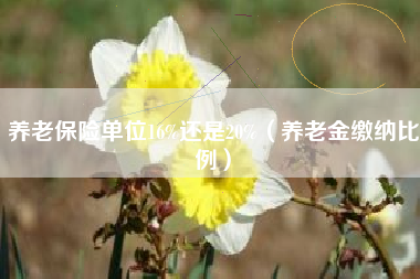 养老保险单位16%还是20%（养老金缴纳比例）