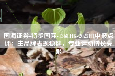 国海证券-特步国际-1368.HK-2025H1中报点评：主品牌表现稳健，专业运动增长亮眼
