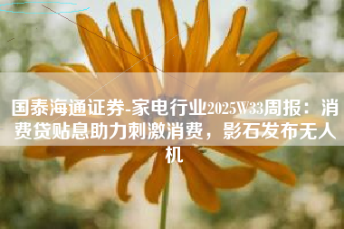 国泰海通证券-家电行业2025W33周报：消费贷贴息助力刺激消费，影石发布无人机