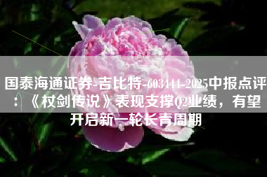 国泰海通证券-吉比特-603444-2025中报点评：《杖剑传说》表现支撑Q2业绩，有望开启新一轮长青周期