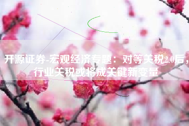 开源证券-宏观经济专题：对等关税2.0后，行业关税或将成关键新变量