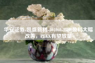 华安证券-凯盛新材-301069-25H1盈利大幅改善，PEKK有望放量