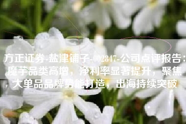 方正证券-盐津铺子-002847-公司点评报告：魔芋品类高增，净利率显著提升，聚焦大单品品牌势能打造，出海持续突破