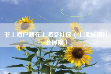 非上海户籍在上海交社保（上海城镇社会保险）