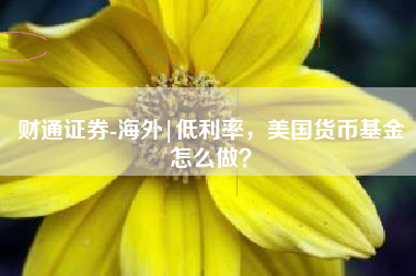 财通证券-海外|低利率，美国货币基金怎么做？