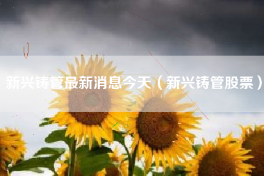 新兴铸管最新消息今天（新兴铸管股票）