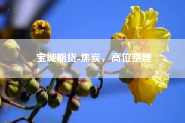 宝城期货-焦炭，高位整理