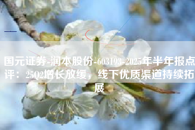 国元证券-润本股份-603193-2025年半年报点评：25Q2增长放缓，线下优质渠道持续拓展