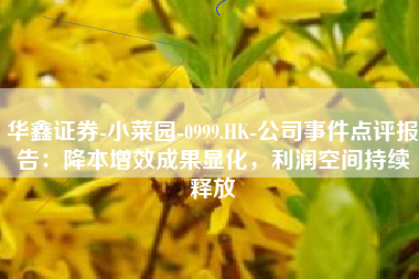 华鑫证券-小菜园-0999.HK-公司事件点评报告：降本增效成果显化，利润空间持续释放