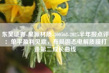 东吴证券-星源材质-300568-2025半年报点评：单平盈利见底，布局固态电解质膜打造第二成长曲线