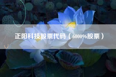 正阳科技股票代码（600096股票）