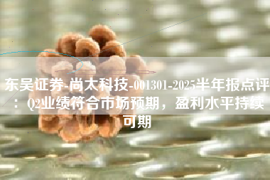 东吴证券-尚太科技-001301-2025半年报点评：Q2业绩符合市场预期，盈利水平持续可期