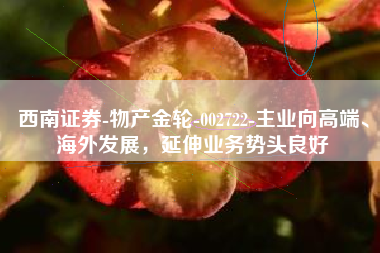 西南证券-物产金轮-002722-主业向高端、海外发展，延伸业务势头良好