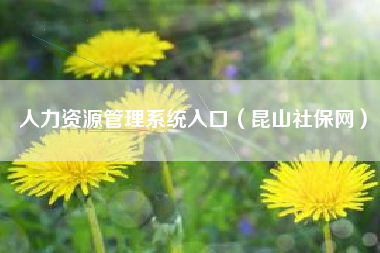 人力资源管理系统入口（昆山社保网）