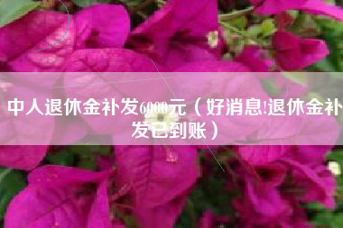 中人退休金补发6000元（好消息!退休金补发已到账）