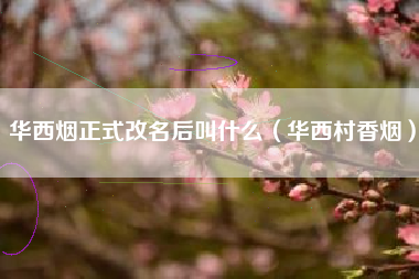 华西烟正式改名后叫什么（华西村香烟）