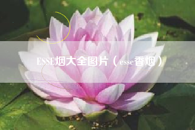 ESSE烟大全图片（esse香烟）