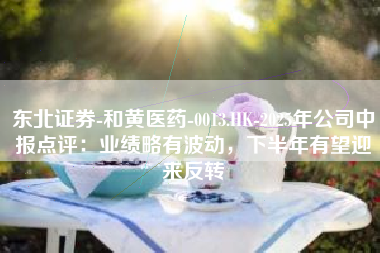 东北证券-和黄医药-0013.HK-2025年公司中报点评：业绩略有波动，下半年有望迎来反转