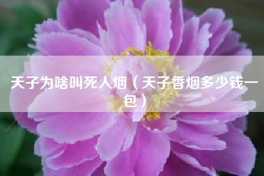 天子为啥叫死人烟（天子香烟多少钱一包）