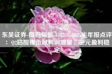 东吴证券-厦钨新能-688778-2025半年报点评：Q2钴酸锂贡献利润增量，三元盈利稳定