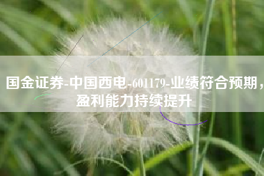 国金证券-中国西电-601179-业绩符合预期，盈利能力持续提升