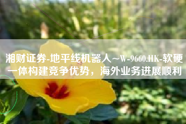 湘财证券-地平线机器人~W-9660.HK-软硬一体构建竞争优势，海外业务进展顺利