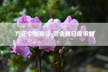 方正中期期货-贵金属日度策略