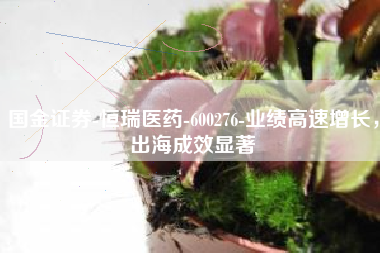 国金证券-恒瑞医药-600276-业绩高速增长，出海成效显著