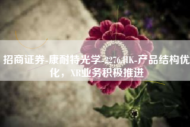 招商证券-康耐特光学-2276.HK-产品结构优化，XR业务积极推进