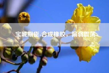 宝城期货-合成橡胶，偏弱震荡