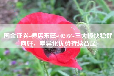国金证券-横店东磁-002056-三大板块稳健向好，差异化优势持续凸显