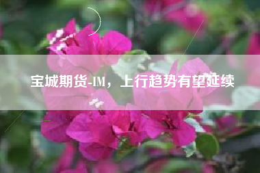 宝城期货-IM，上行趋势有望延续