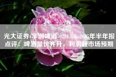 光大证券-华润啤酒-0291.HK-2025年半年报点评：啤酒量价齐升，利润超市场预期