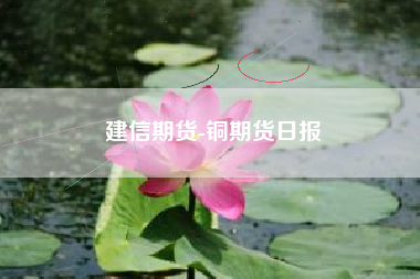 建信期货-铜期货日报