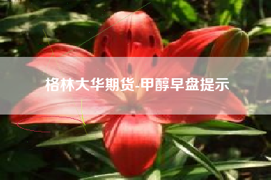 格林大华期货-甲醇早盘提示