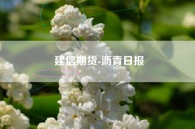 建信期货-沥青日报