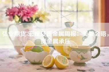 弘业期货-宏观及贵金属周报：美俄会晤，贵金属承压