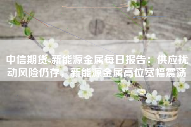 中信期货-新能源金属每日报告：供应扰动风险仍存，新能源金属高位宽幅震荡