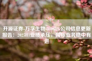 开源证券-万孚生物-300482-公司信息更新报告：2025H1业绩承压，国际业务稳中有进