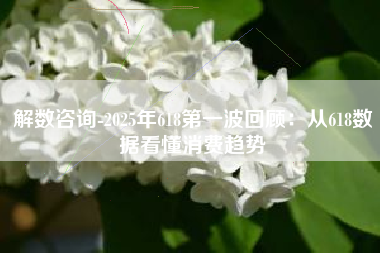 解数咨询-2025年618第一波回顾：从618数据看懂消费趋势