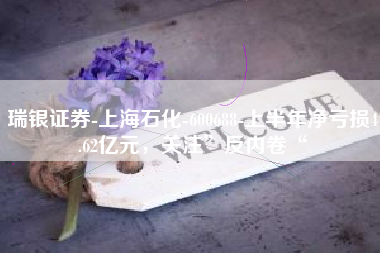 瑞银证券-上海石化-600688-上半年净亏损4.62亿元，关注”反内卷“