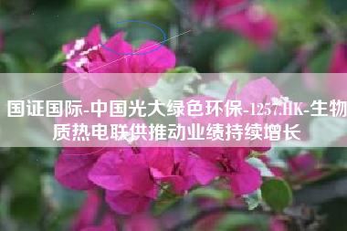 国证国际-中国光大绿色环保-1257.HK-生物质热电联供推动业绩持续增长