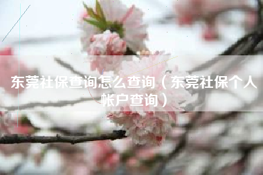 东莞社保查询怎么查询（东莞社保个人帐户查询）